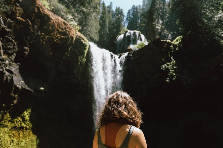 Exploring the Green Heart of Asheville: A Community’s Journey to Eco-Friendly Adventure